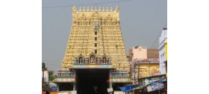 சங்கரன்கோவில்